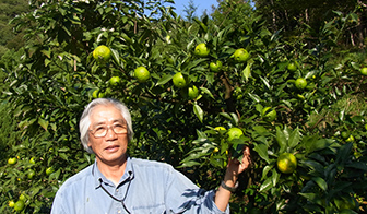 素材は食べられるものが基本(自然由来成分100%)