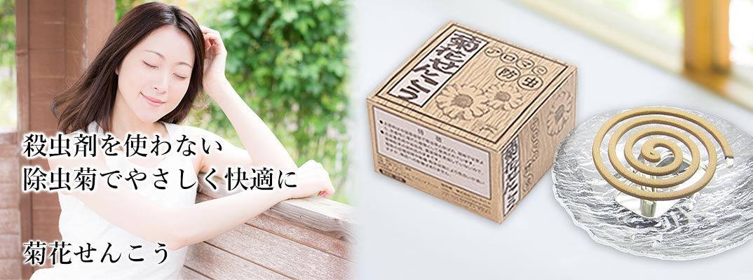 菊花せんこう