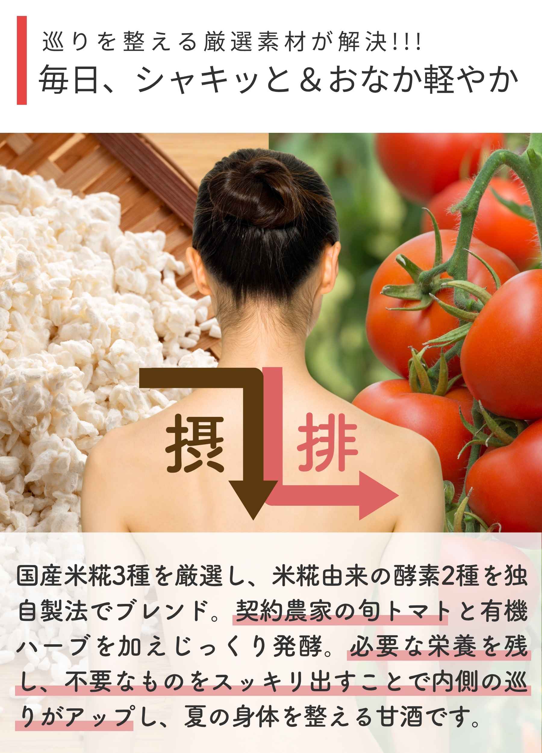 はだ恵り麗