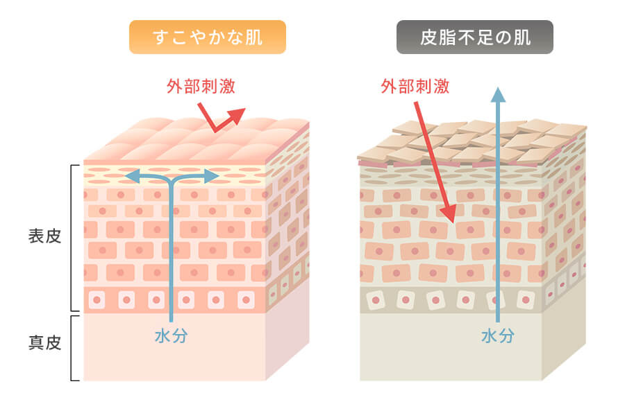皮脂不足を補い、肌トラブルを防ぐ