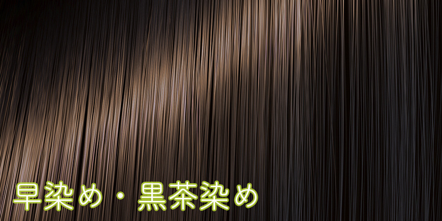 「早染め」「黒茶染め」を実現