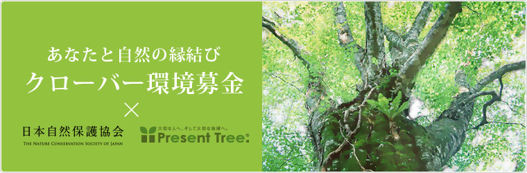 クローバー環境募金　日本自然保護協会　ＮＣＳＪ　プレゼントツリー　present tree 環境リレーションズ研究所　ネオナチュラル　オーガニック
