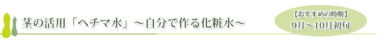 茎の活用「ヘチマ水」～自分で作る化粧水～